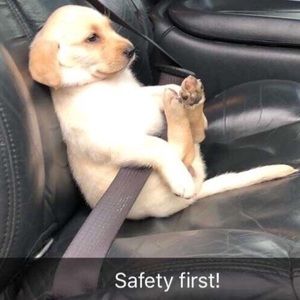 Meet your Posher, Rodolfo